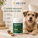 Probiótico Intestinal para Cães BrightPet Healthy Gut – 30 Soft Chews