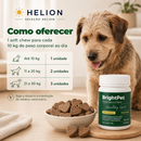 Probiótico Intestinal para Cães BrightPet Healthy Gut – 30 Soft Chews