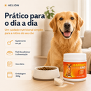 Amino Cão 300g — Suplemento Nutricional para Cães