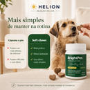 Probiótico Intestinal para Cães BrightPet Healthy Gut – 30 Soft Chews